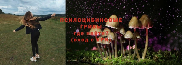 гидропоника Абаза