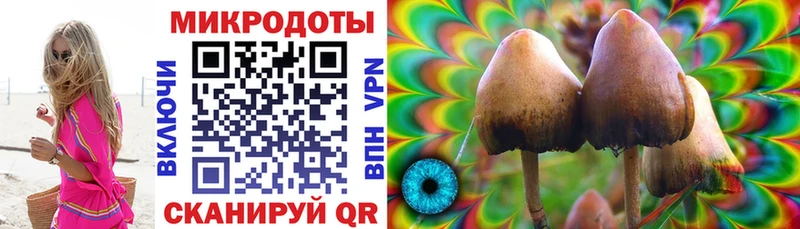 мориарти какой сайт  Кремёнки  Псилоцибиновые грибы Psilocybe 